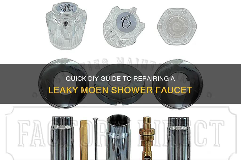 how to fix a dripping moen shower faucet