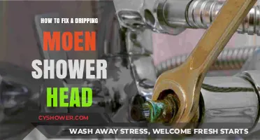 Quick Fix Guide: Stop Your Moen Shower Head Dripping Fast