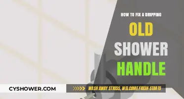 Fix Your Leaky Shower Handle: A Step-by-Step DIY Guide