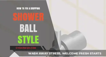 Stop the Drip: Easy Fixes for a Leaky Shower Ball