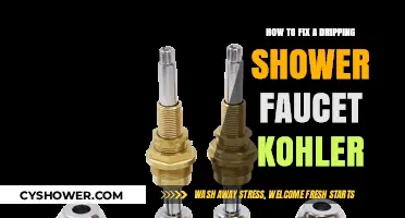 Quick Guide to Repairing a Leaky Kohler Shower Faucet