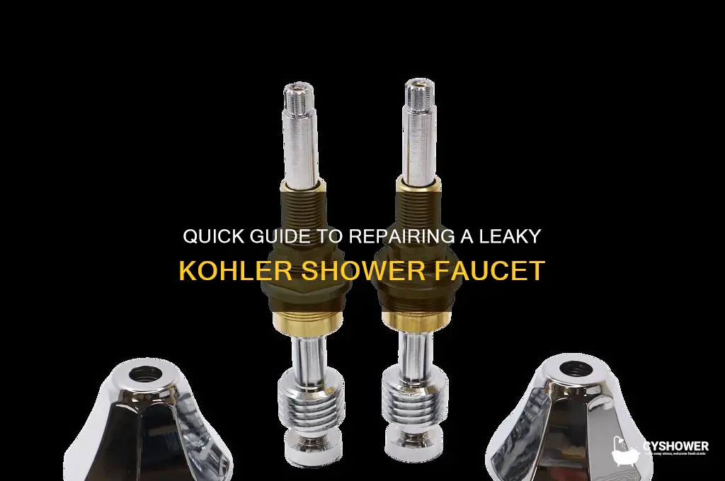 how to fix a dripping shower faucet kohler