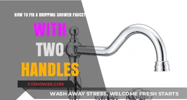 Quick Guide to Repairing a Leaky Two-Handle Shower Faucet