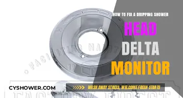 Quick Fix for a Dripping Delta Monitor Shower Head