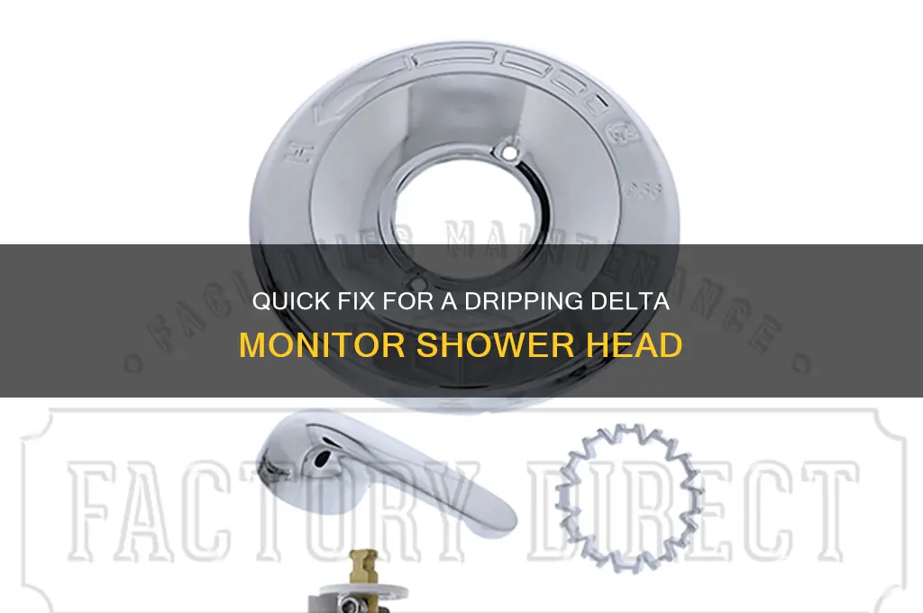 how to fix a dripping shower head delta monitor