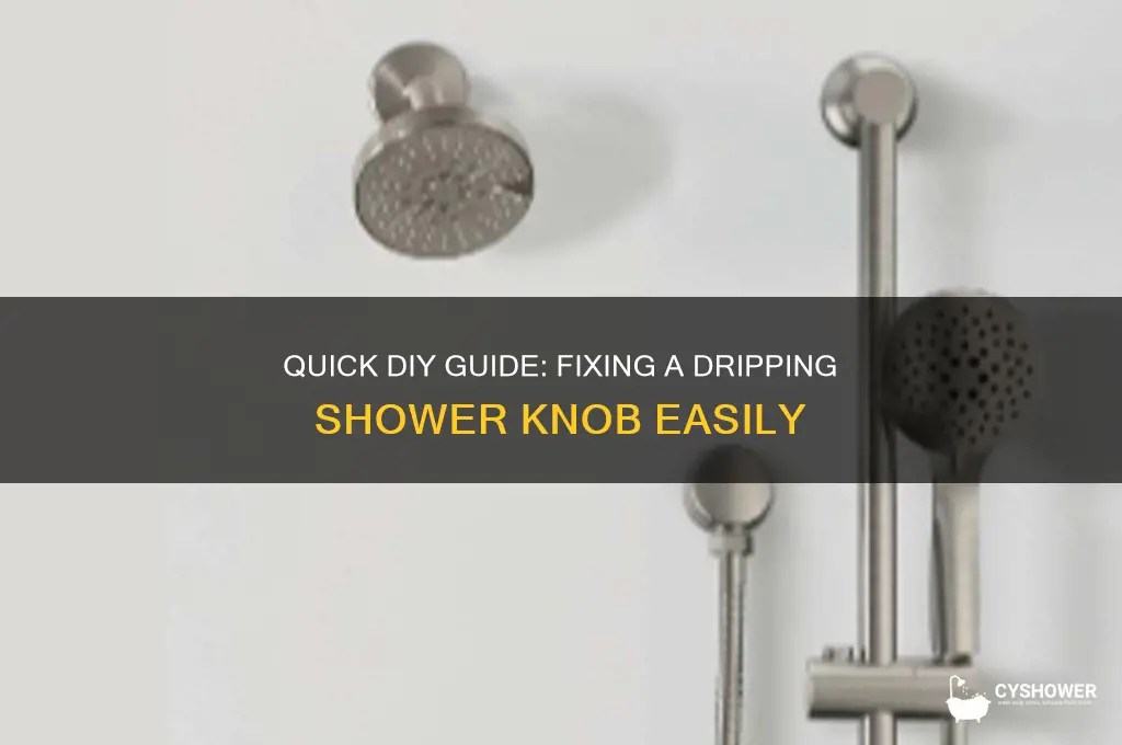 how to fix a dripping shower knob