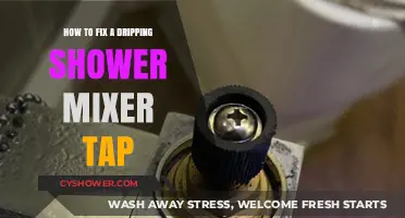 Quick DIY Guide to Repairing a Leaky Shower Mixer Tap