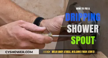 Stop the Drip: Easy Steps to Fix a Leaky Shower Spout