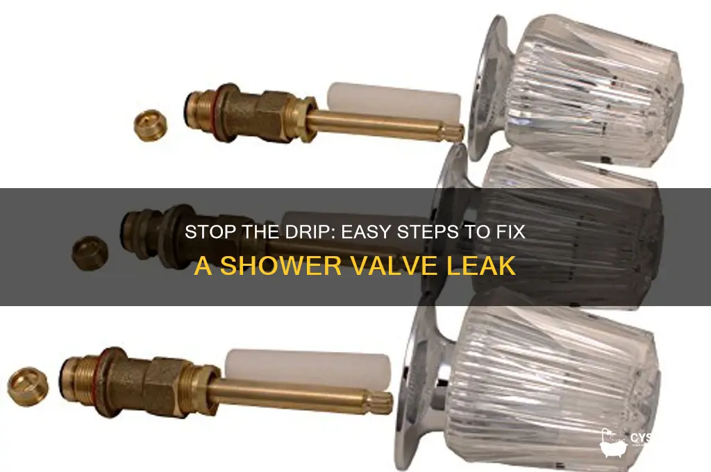 how to fix a dripping shower valve