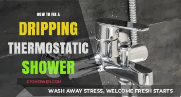 Stop the Drip: Easy Fixes for a Leaky Thermostatic Shower