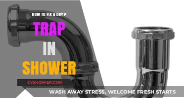 Quick Fix for Dry P-Trap: Revive Your Shower Drain Easily