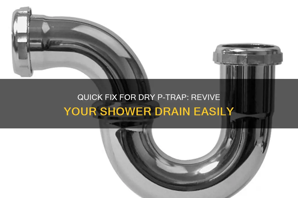 how to fix a dry p trap in shower