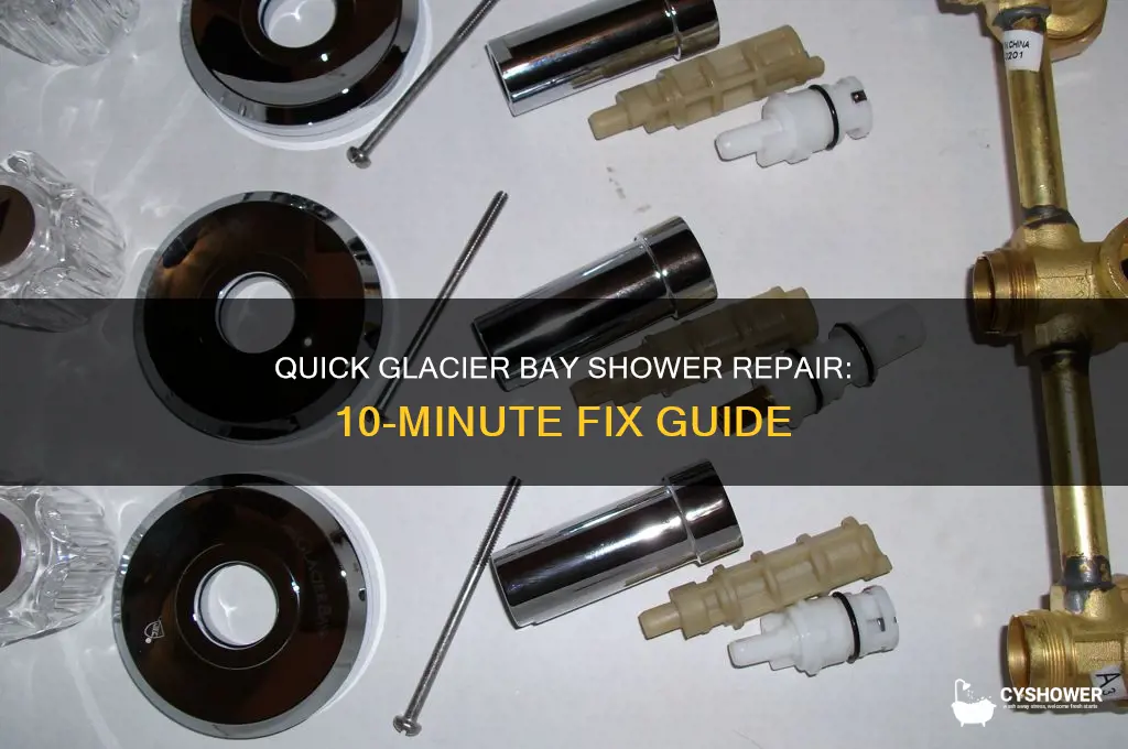 how to fix a glacier bay shower in 10 minutes