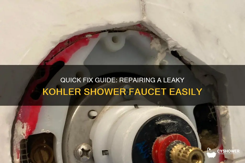 how to fix a kholer leaky shower faucet