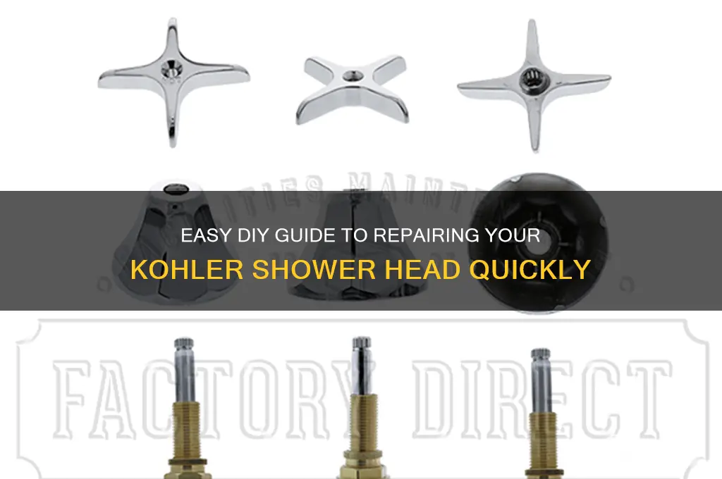 how to fix a kohler shower head