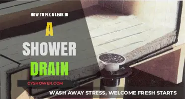 Quick DIY Guide: Fixing a Leaky Shower Drain Easily