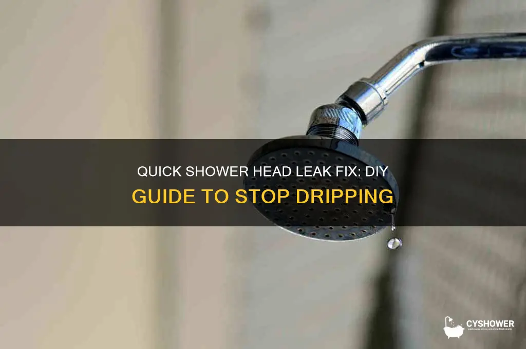 how to fix a leak in a shower head