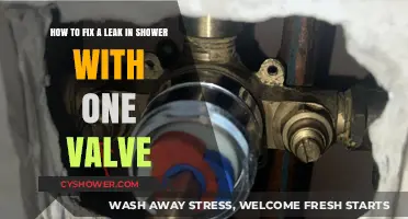 Quick Fix: Repairing a Shower Leak with a Single Valve