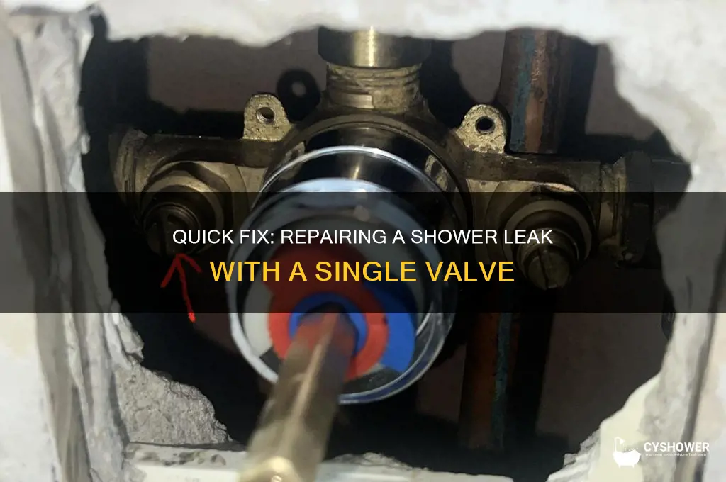 how to fix a leak in shower with one valve