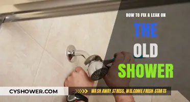 Quick DIY Guide to Repairing Leaks in Aging Showers