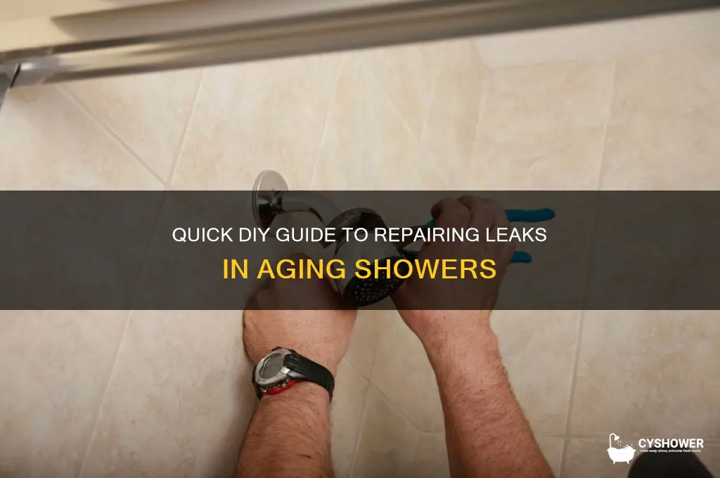 how to fix a leak on the old shower