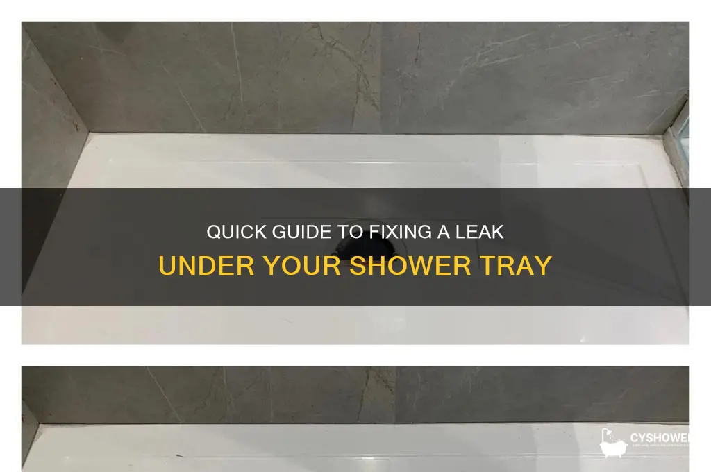 how to fix a leak under shower tray