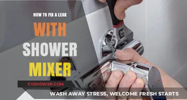 Quick DIY Guide: Fixing a Leaky Shower Mixer Easily