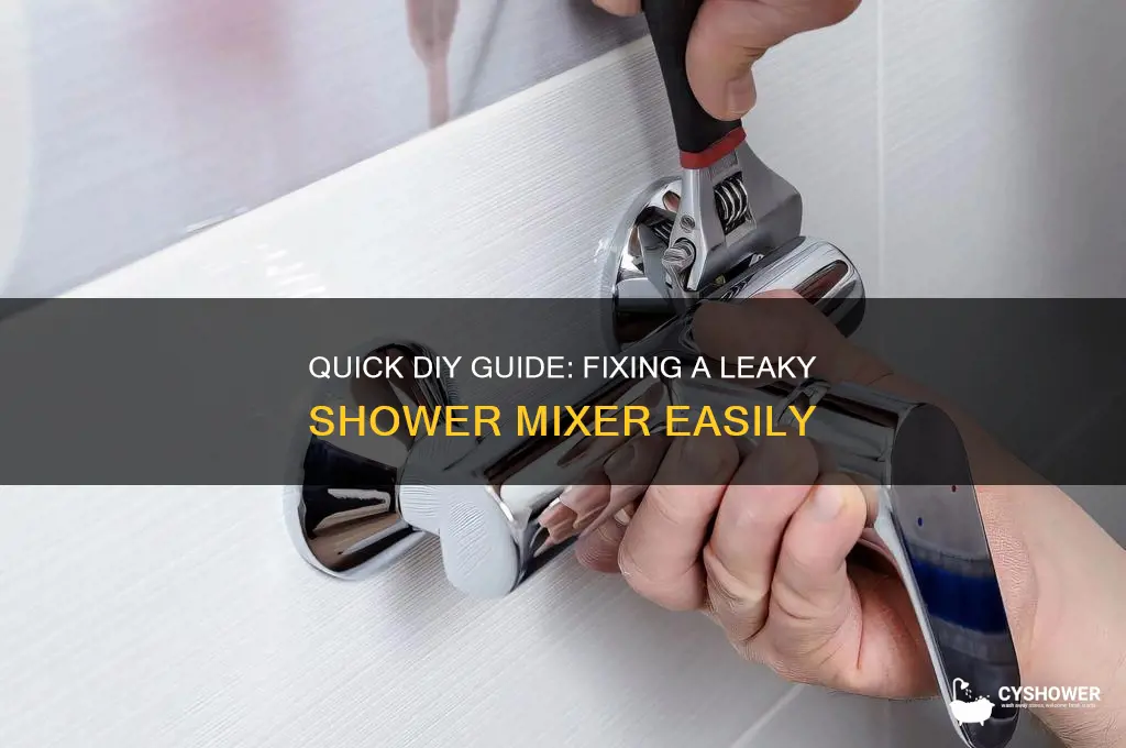 how to fix a leak with shower mixer