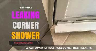 Quick Fixes for a Leaking Corner Shower: DIY Repair Guide