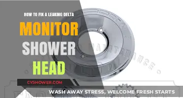 Quick Fix: Repairing a Leaking Delta Monitor Shower Head Easily