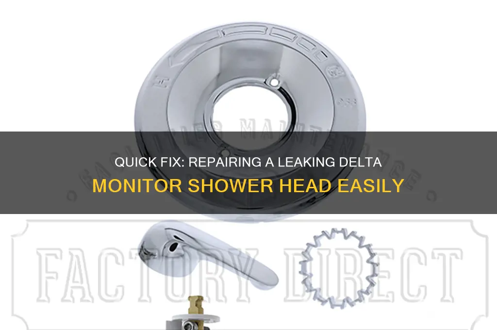 how to fix a leaking delta monitor shower head