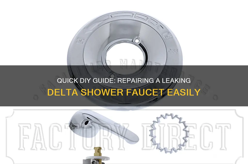 how to fix a leaking delta shower faucet