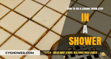 Quick Fix for a Leaking Shower Drain Stop: DIY Guide