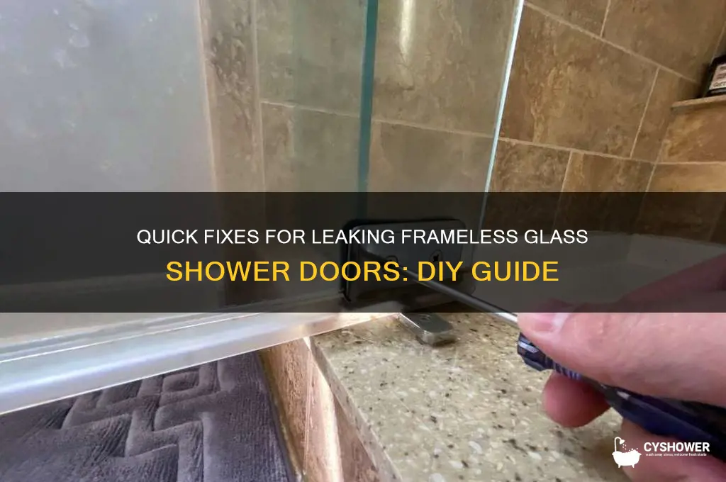 how to fix a leaking frameless glass shower door