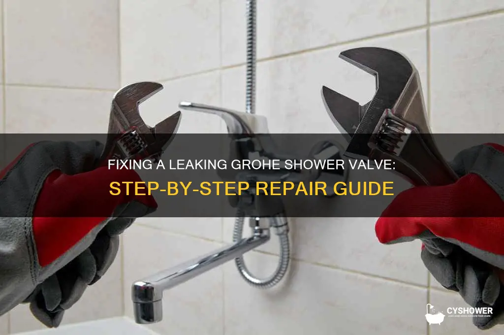 how to fix a leaking grohe shower valve