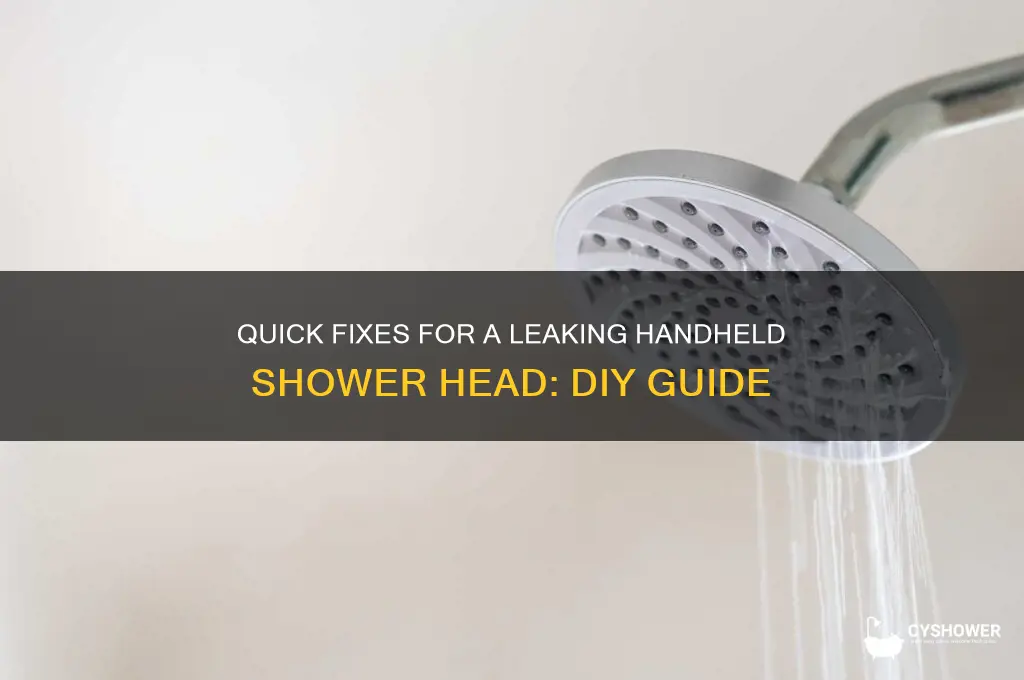 how to fix a leaking hand held shower head