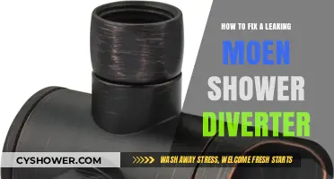 Quick Fix: Repairing a Leaking Moen Shower Diverter Easily