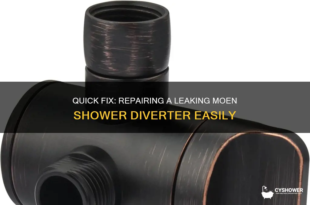 how to fix a leaking moen shower diverter