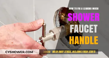 Quick Fix for a Leaking Moen Shower Faucet Handle