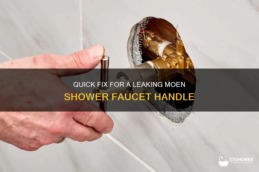how to fix a leaking moen shower faucet handle