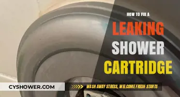 Quick Guide to Repairing a Leaky Shower Cartridge Easily