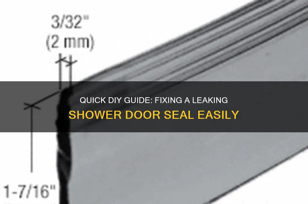 how to fix a leaking shower door seal
