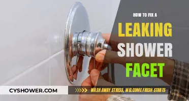 Quick DIY Guide to Fixing a Leaking Shower Faucet Easily