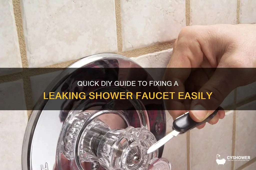 how to fix a leaking shower fawcet
