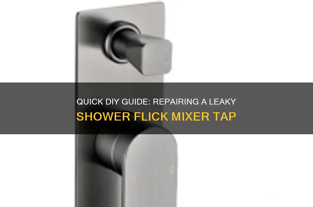 how to fix a leaking shower flick mixer tap