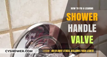 Quick Guide to Repairing a Leaky Shower Handle Valve