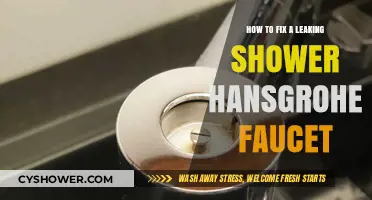 Quick Fix Guide: Repairing a Leaking Hansgrohe Shower Faucet
