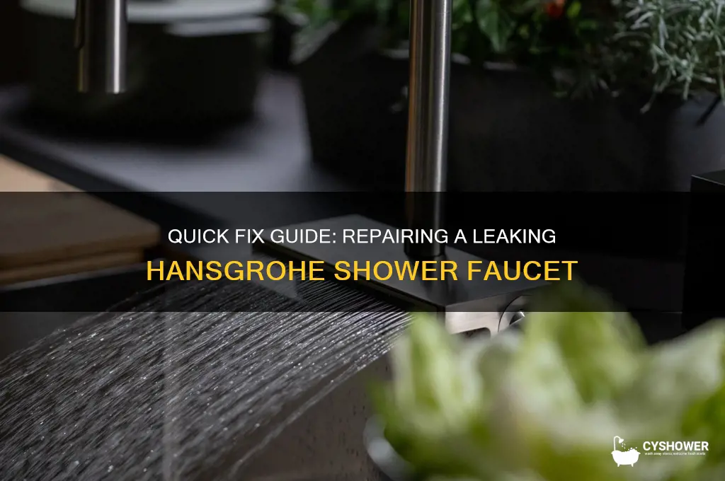 how to fix a leaking shower hansgrohe faucet