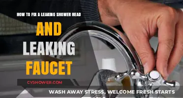 Quick Fixes for Leaking Shower Heads and Faucets: DIY Guide