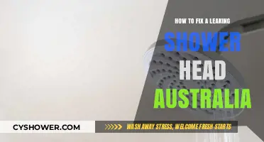 Fixing a Leaking Shower Head in Australia: Easy DIY Solutions